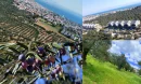 Edremit Satılık Zeytinlik Arayışımda Toprağın Dilini Nasıl Öğrendim?