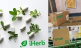 İherb Türkiye Kullanıcıları İçin En İyi Fırsatlar Nelerdir?
