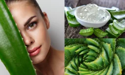 Aloe Vera Yararları Nelerdir?