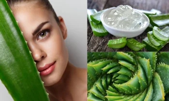 Aloe Vera Yararları Nelerdir?