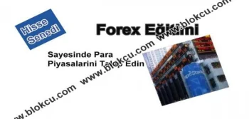 Forex Eğitimi ve Para Piyasaları Hakimiyeti