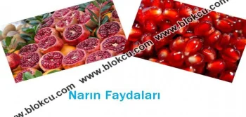 Narın Faydaları