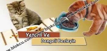 Yeterli Ve Dengeli Besleyin