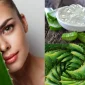 Aloe Vera Yararları Nelerdir?