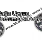 Çağa Uygun Tercümenin Tek Adresi