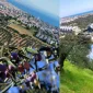 Edremit Satılık Zeytinlik Arayışımda Toprağın Dilini Nasıl Öğrendim?