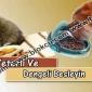 Yeterli Ve Dengeli Besleyin