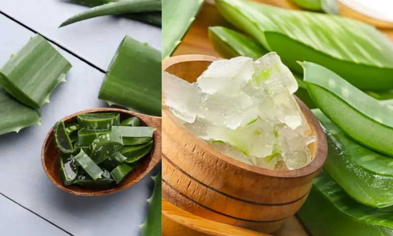 aloevera-2-li-1
