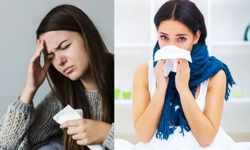 influenza-2li